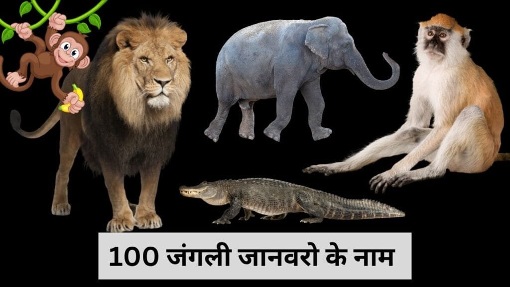 100 Wild Animal Name In Hindi and English